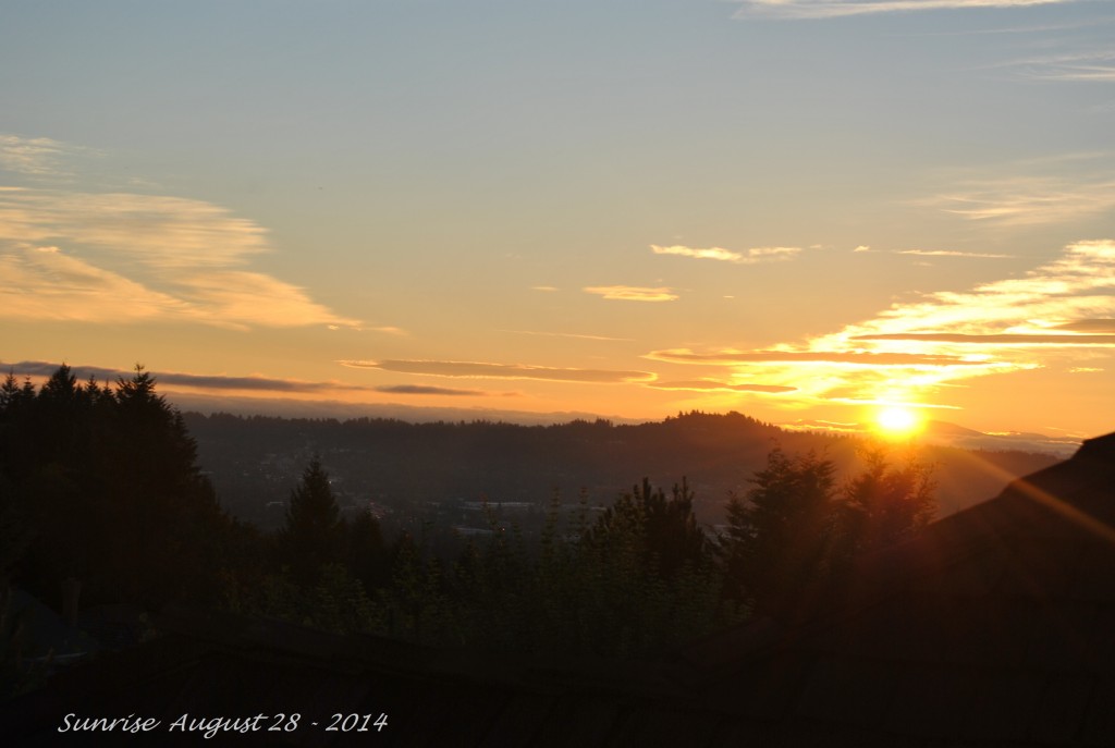 Sunrise August 28 - 2014 (20)